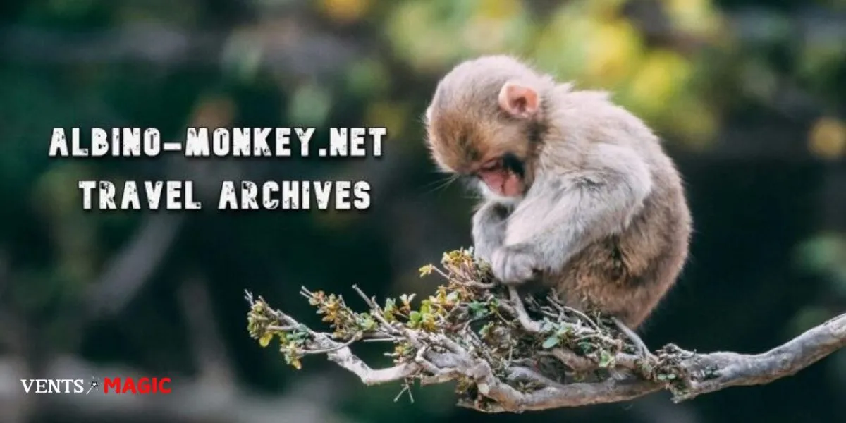 albino-monkey-net-travel-archives-monkey-net-travel-archives